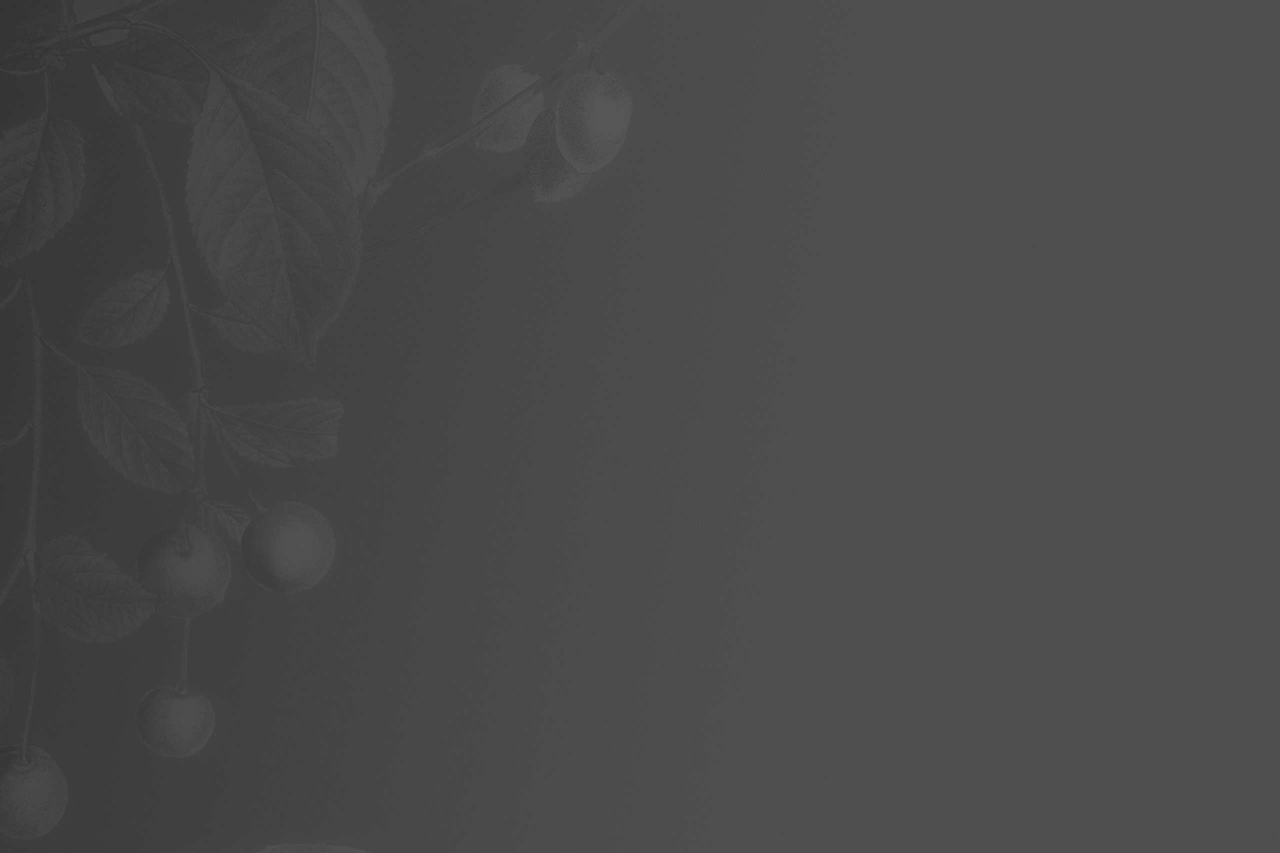 Gray floral border background