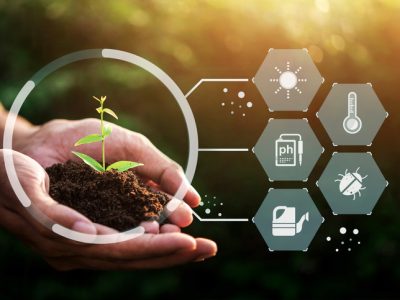 Hand of someone holding sapling growing from the soil with digital data info. The new life plane beginning in nature concept